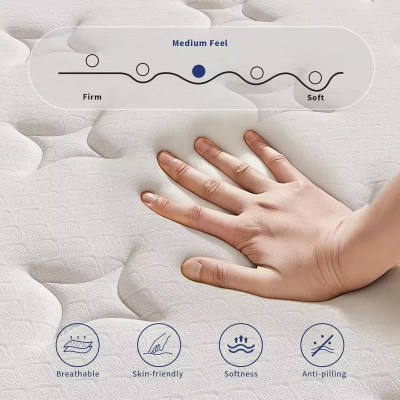 12 Inch Queen Mattress,Pocket Coil,Motion Isolation & Pressure Relief, Custom